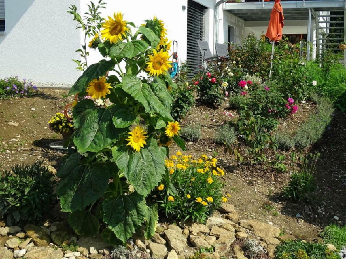 Ferienwohnung Hofstatt Lalling ภายนอก รูปภาพ